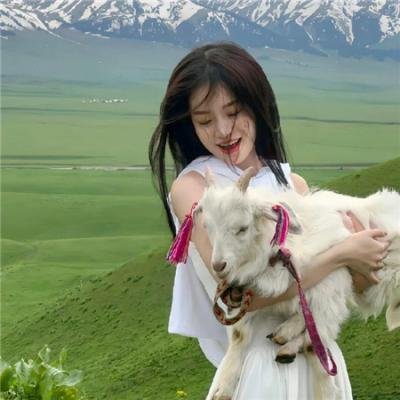 纽约黑帮 在线观看